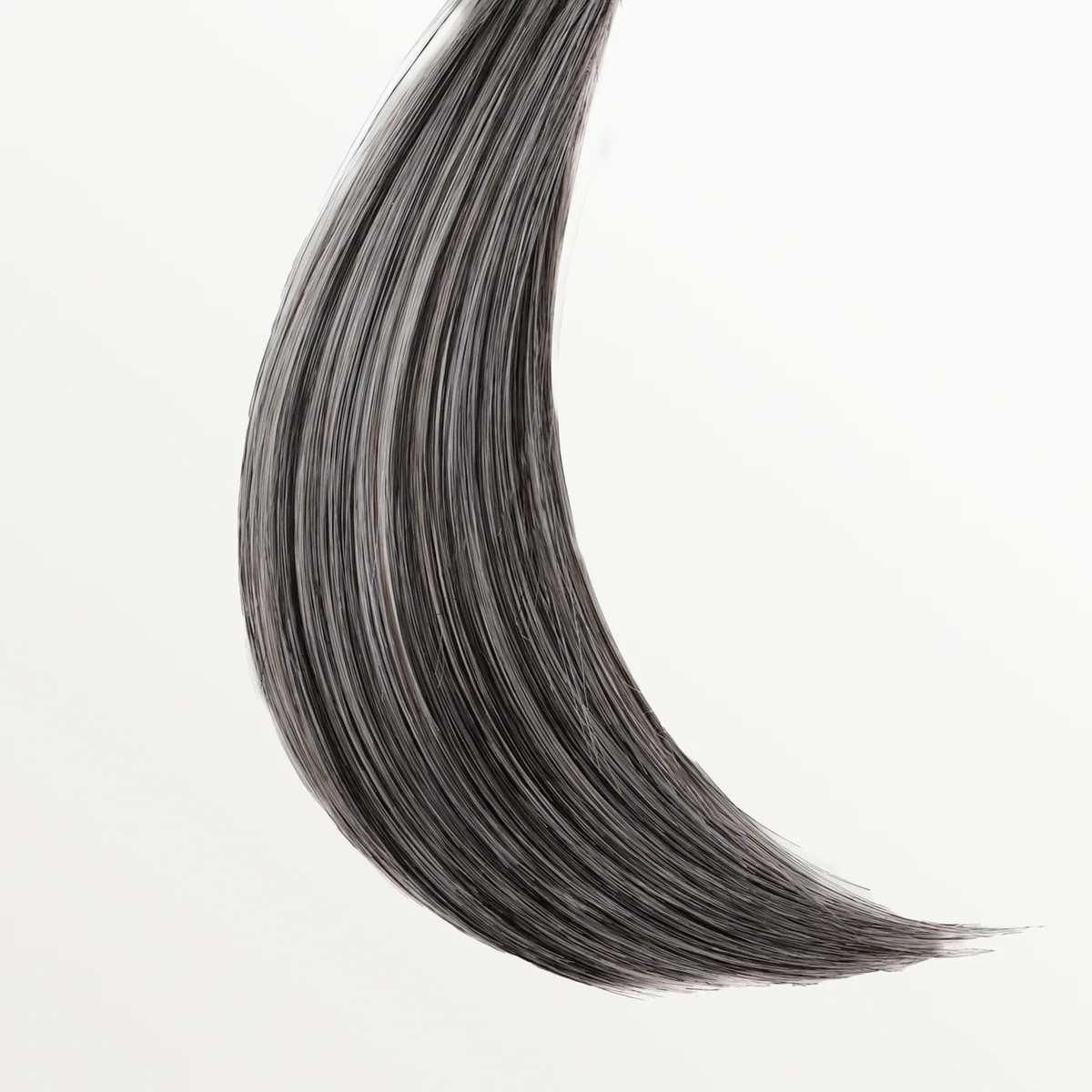 Trend| Tressallure | NEW RELEASE